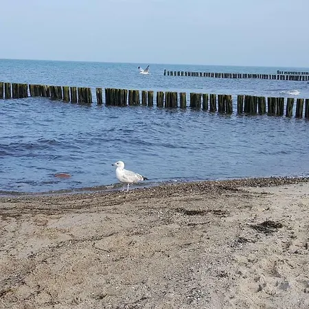 Valencia Am Rosenhof - 5 Sterne Dtv